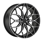 LS FG56