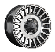 LS RC95