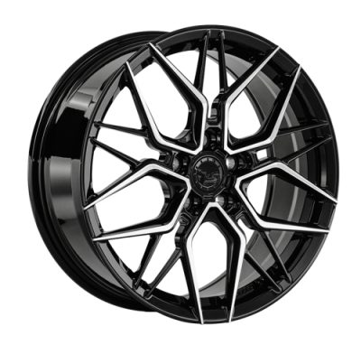 LS FG63