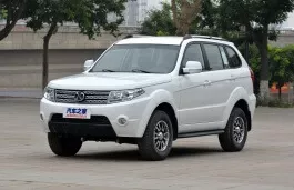 Weiwang 007