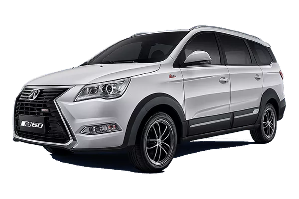 Weiwang M60