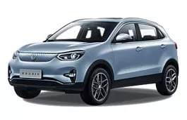 Zedriv GX5