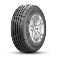 Fortune FSR602 215/65R16 98H