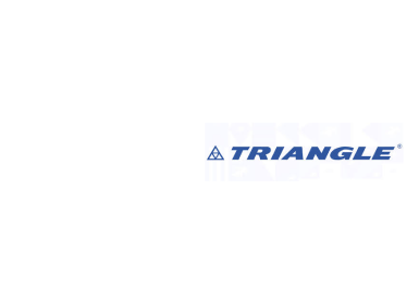 ЗИМНИЕ ШИНЫ TRIANGLE
