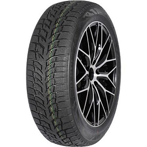 Autogreen SnowChaser 2 AW08 205/55R16 91H