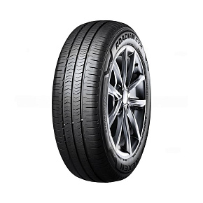 ROADIAN CTX