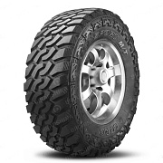 LION SPORT M/T LION