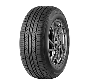 Fronway ECOGREEN 66 195/55R16 87V