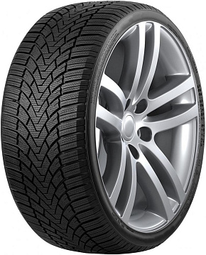 RoadMarch WinterXPro 888 205/65R15 94H