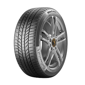 Continental WinterContact TS 870 P 215/45R20 95T