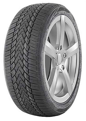 Fronway ICEMASTER I 255/40R20 101V