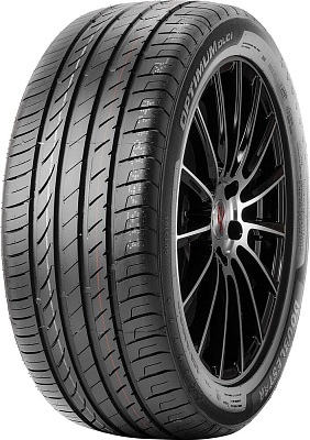 DoubleStar DU01 225/50R17 98W
