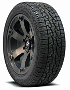 ROADIAN AT