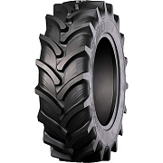 RAG100 (AGRO10)