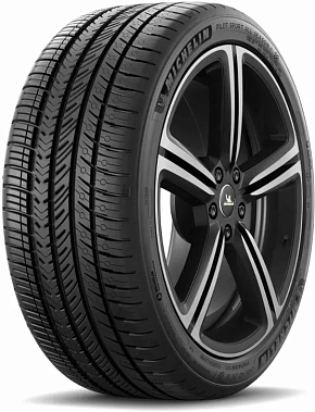 Pilot Sport A/S 4 Acoustic