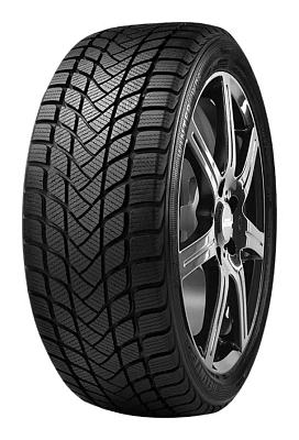 Delinte Winter WD6 195/55R16 87H