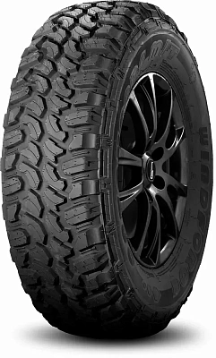 Catchfors M/T