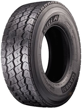 GAM851