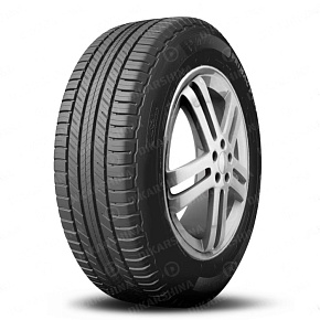 Primacy Suv