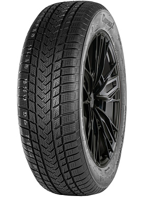 Gripmax SureGrip eWinter 205/40R17 84V