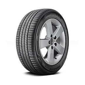 Nexen ROADIAN GTX 235/55R19 101H
